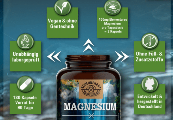 Bildschirmfoto 2025 08 05 um 12.16.21