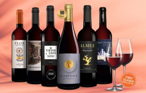 Vinos Sommer Rotwein Paket