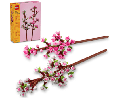 LEGO Botanicals Kirschblüten vor dem Verpackungskarton