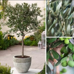 MTD 2026 03 23 at 15 16 19