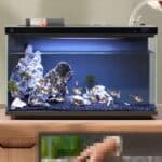 Xiaomi Mijia Smart Aquarium MYG100 🐡 (20L, autom. Fütterungs- & Filtersystem)