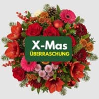 Weihnachts Blumenueberraschung