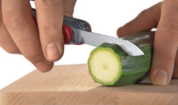 Victorinox Schweizer Taschenmesser Evolution 10 Multitool Swiss Army Knife mit 13 Funktionen Klinge Dosenoeffner Schrauben 2026 01 07 10 55 45