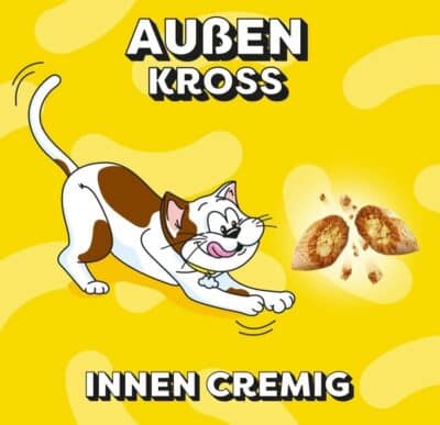 DREAMIES Katzensnacks   12x60g   Variety Snack Box