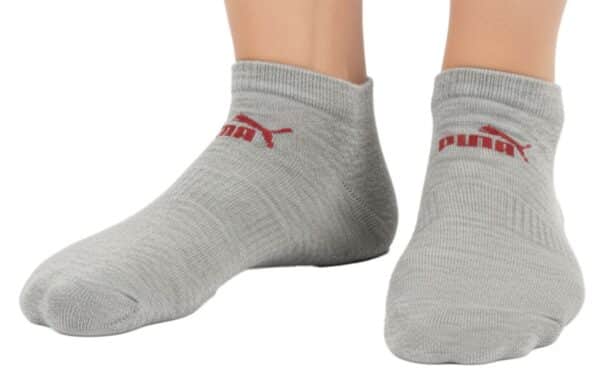 Rot  2026 02 24 16 36 19