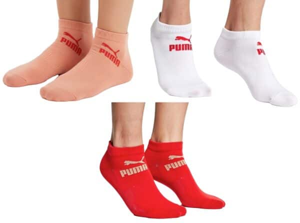 Rot  2026 02 24 16 36 59