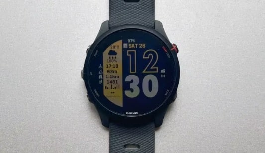 Garmin Forerunner 255