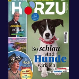 MTD 2026 04 10 at 15 31 38