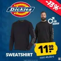 Dickies Okemo GPX Herren Sweatshirt