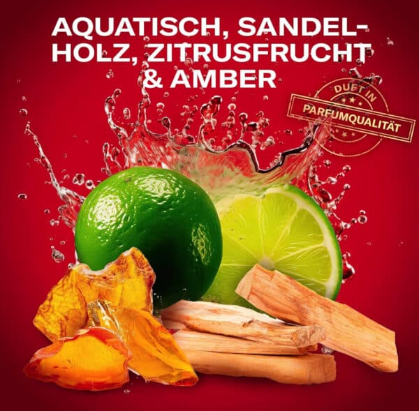 MTD 2026 04 20 at 13 19 18