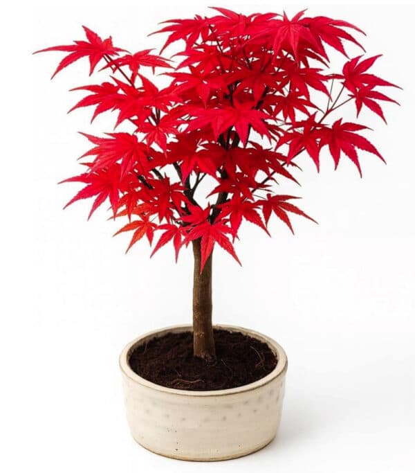 MTD 2026 04 22 at 09 38 28