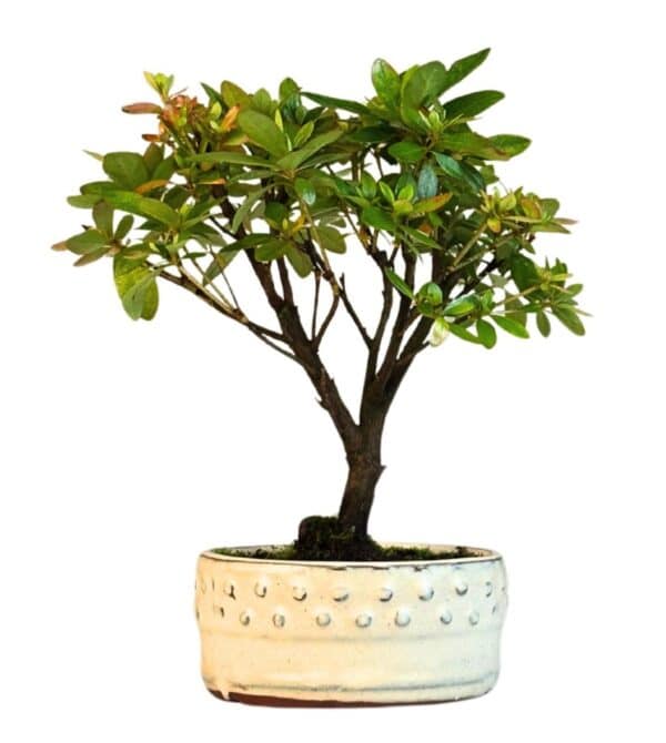 MTD 2026 04 22 at 09 38 55