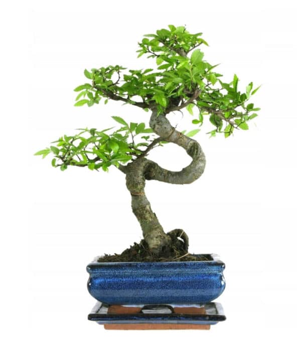 MTD 2026 04 22 at 09 40 09