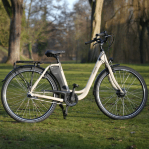 Monosnap Fruehlingsdeal Prophete E Bikfrade  Fahrradzubehoer  Joybuy 2026 04 28 08 35 46