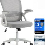 Ergoreal Ergonomischer Bürostuhl mit verstellbarer Rückenlehne & klappbaren Armlehnen