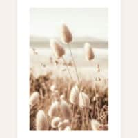 image picker 33234095 DC95 4C61 AFB1 3C68577A6A5A 18310 0000034CB9A588B4