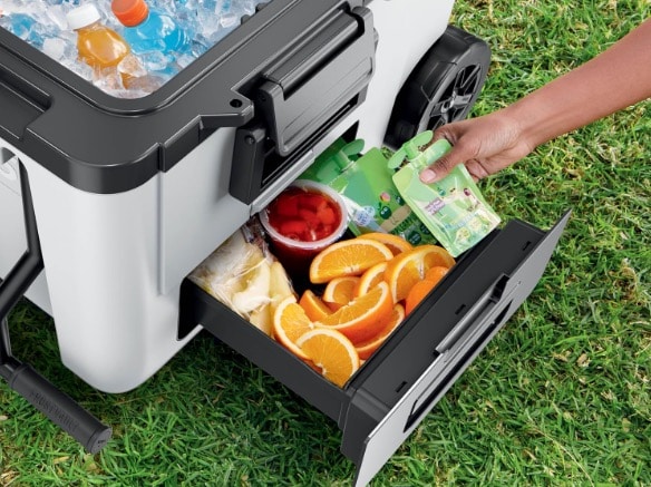 Ninja FrostVault   42L Kuehlbox