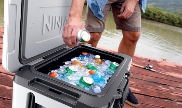 Ninja FrostVault   42 L Kuehlbox