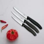 Victorinox Swiss Classic Küchenmesser Set 🔪