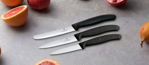 Victorinox Swiss Classic Kuechenmesser Set