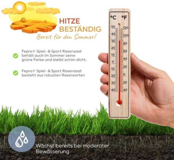 BELKO Rasensamen Sport und Spiel 2