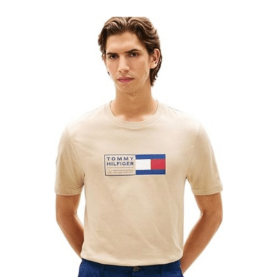 Tommy Hilfiger T Shirt Tommy Hilfiger T Shirt