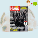 Der Hund 🐶💞 im Jahresabo für 39,40€ mit bis zu 35€ Prämie