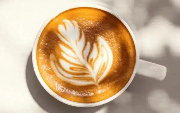 Melitta Barista Crema Forte Kaffeebohnen