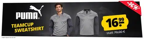 puma teamcup training banner PUMA teamCUP Training Oberteil im Angebot bei SportSpar