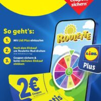 45500a2c17bf1a084422c3a9a1fc58bb7bdf101e6e2bb47d5c4e07ff99ac9a5e