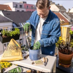 602f91d65a8829819e64496817e39abf7a11b545dff70ae03066a67c329c3f56