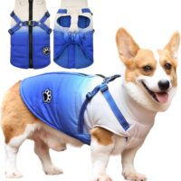 718IXqHeyKL. AC SL1500  2