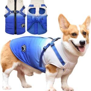 718IXqHeyKL. AC SL1500  2