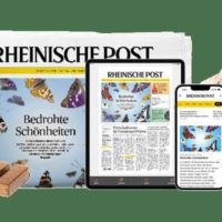 779668 35ed80fcd21ca00e60a962e6cf729f6e 800re0