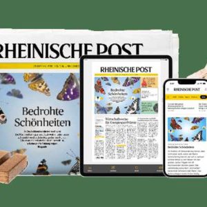 779668 35ed80fcd21ca00e60a962e6cf729f6e 800re0