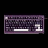 Akko MOD 007B V5 HE Purple