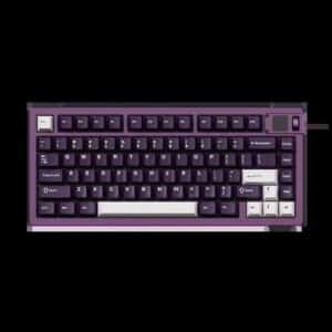 Akko MOD 007B V5 HE Purple