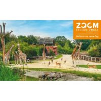 Beitragsbilder Nicole   2023 10 12T064708.017