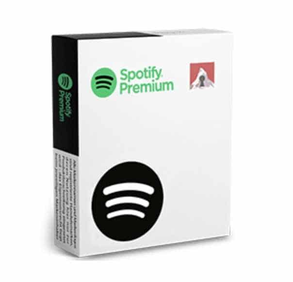 Individual - Monate 12 Premium Spotify MyTopDeals
