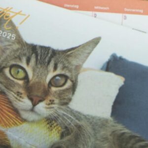 Bildschirmfoto 11 1 2025 9332 action.peta .de