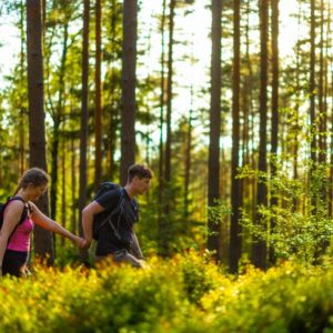 Goethe Erlebnisweg Mario Hochhaus WLT2022 3 min 1 980x654 1