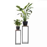 IMG 20250802 112309 3