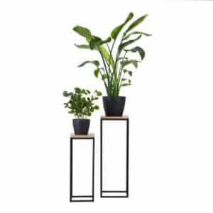 IMG 20250802 112309 3