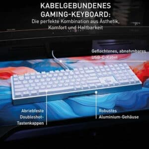 MonosnapCHERRYXTRFYMX3.1MechanischeGaming TastaturKeyboardDELayoutQWERTZeBay.de2025 12 1608 33 37