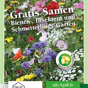 Aktion Artenvielfalt 2019 Gratis Samen Bienen Insekten Und