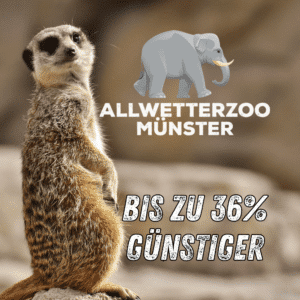 allwetterzoo ms