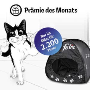 felix 24 1