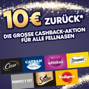 scaled Screenshot 20231016 213833 Chrome